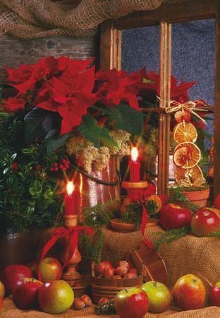 frohe-weihnachten-158