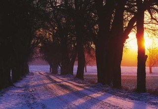 frohe-weihnachten-160