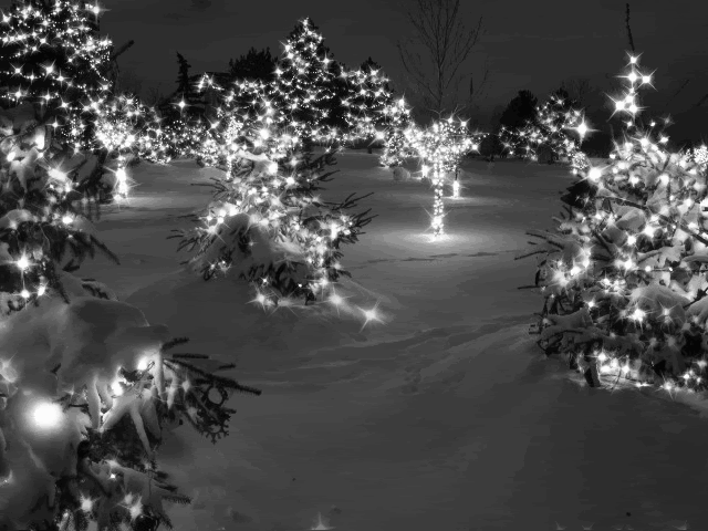 kerst-116