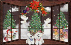 kerst900