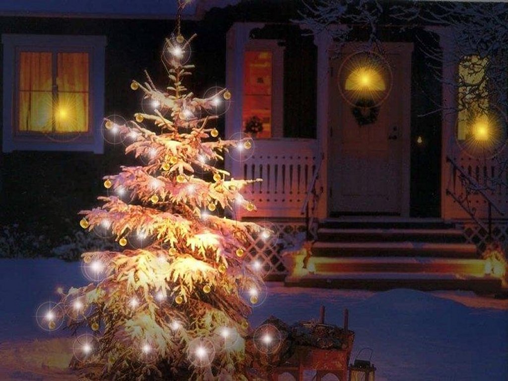 kerstboom