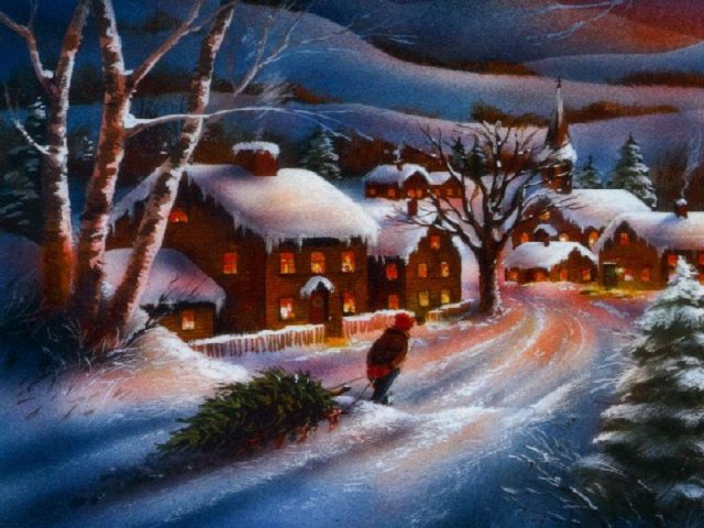 kerstboom-naar-huis-brengen
