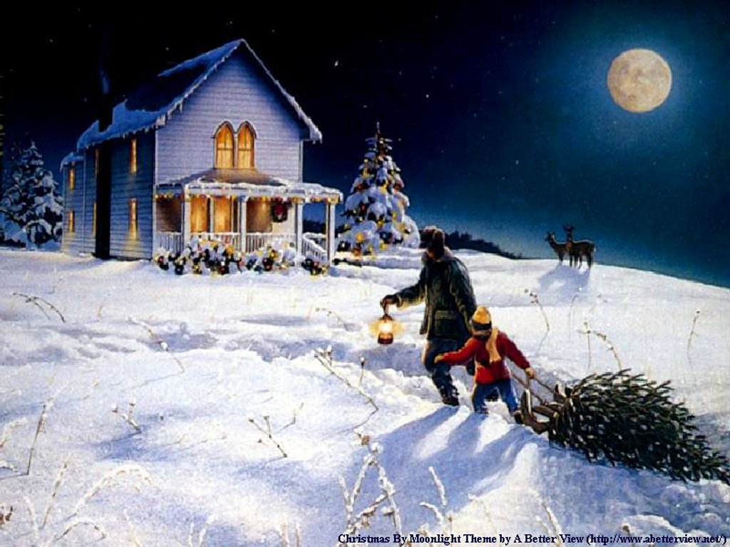 moonlight